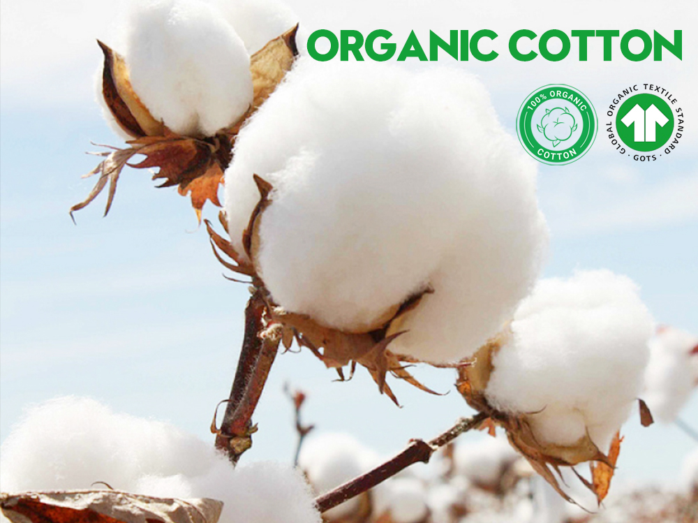 Organic cotton empowers fashion, and eco-friendly baseball caps lead the new trend of green consumption.